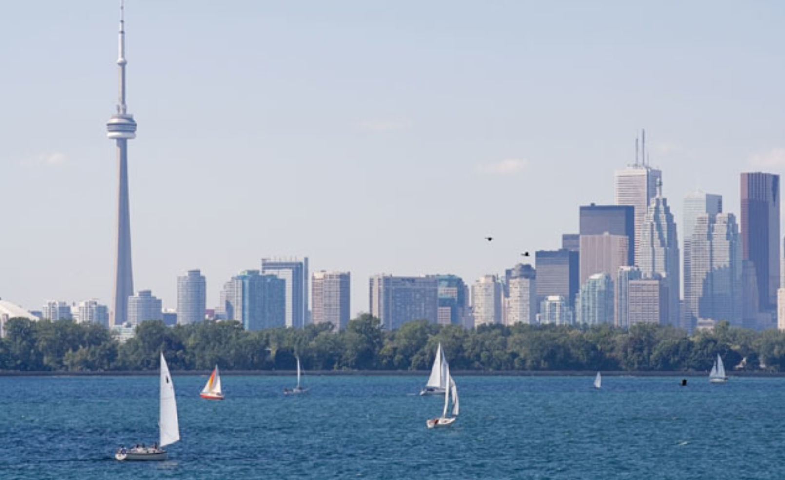 Toronto Skyline