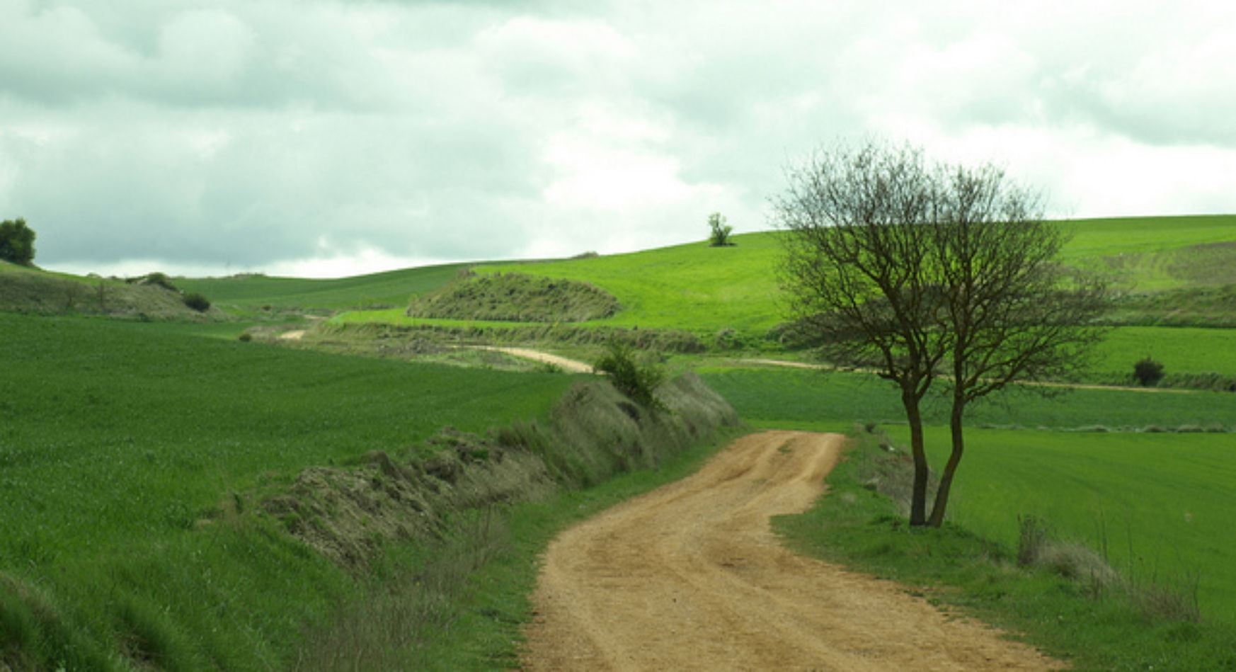 Camino de Santiago
