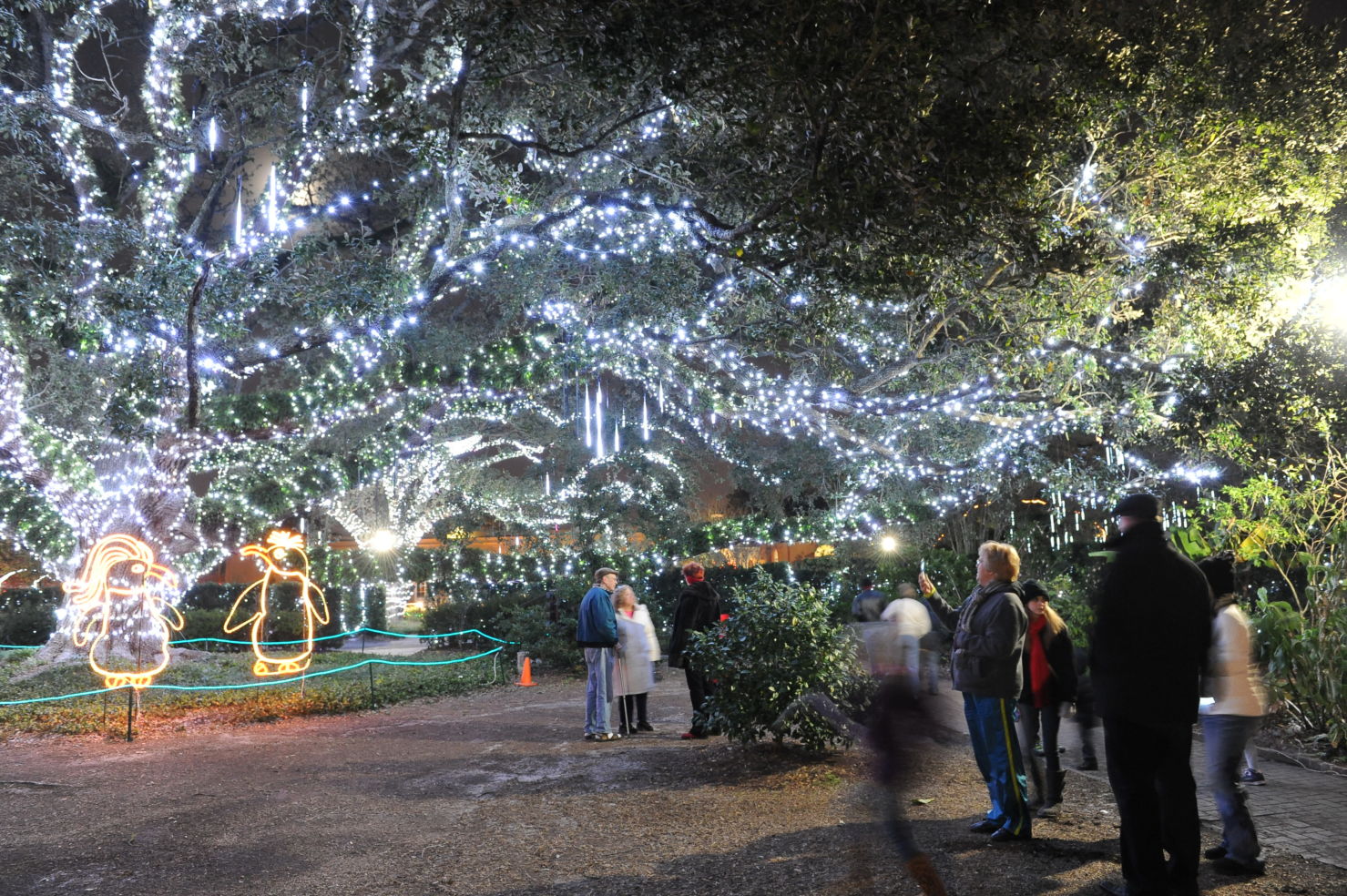 Celebration Oaks in New Orleans