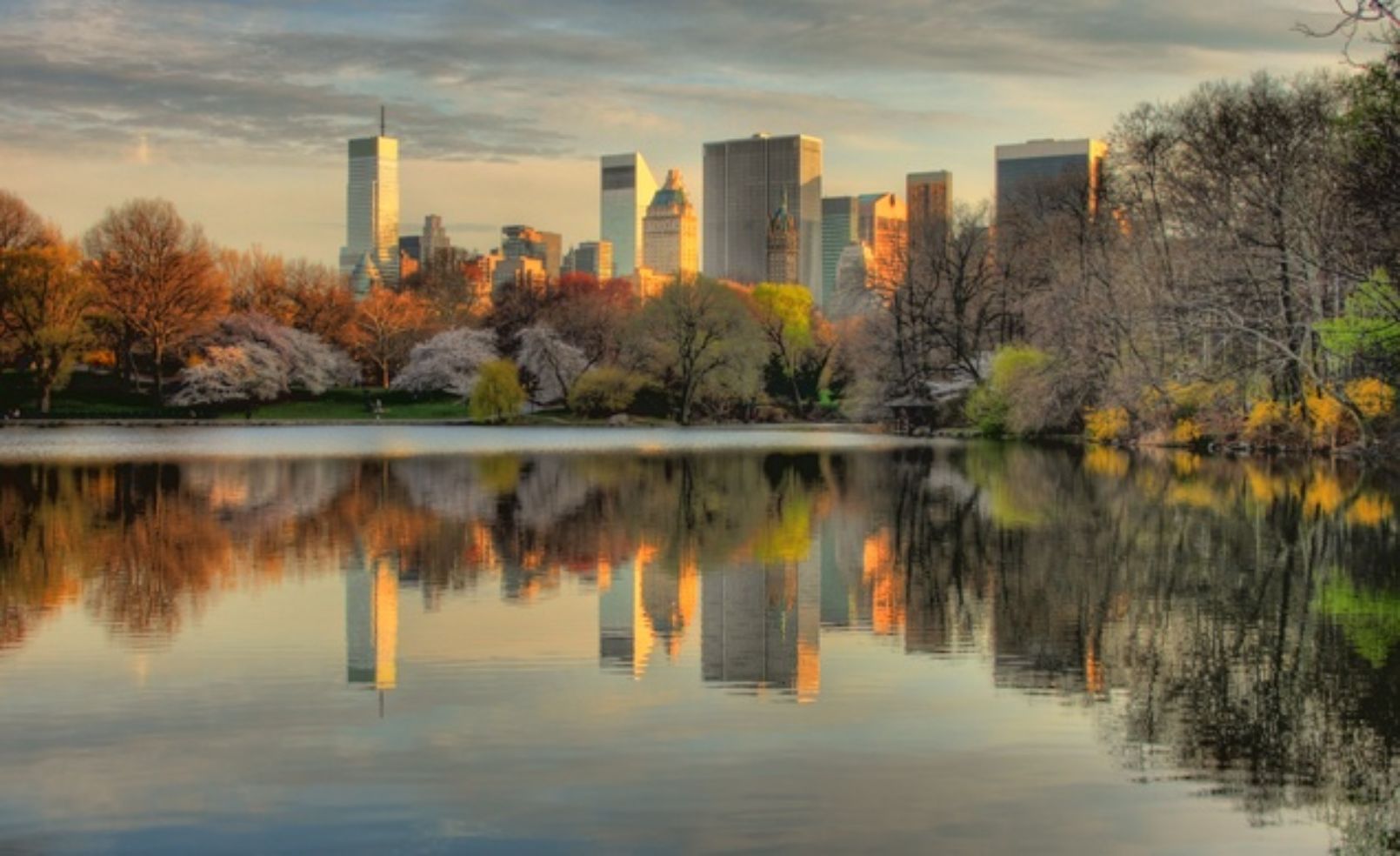 A gorgeous view of New York City from Central Park