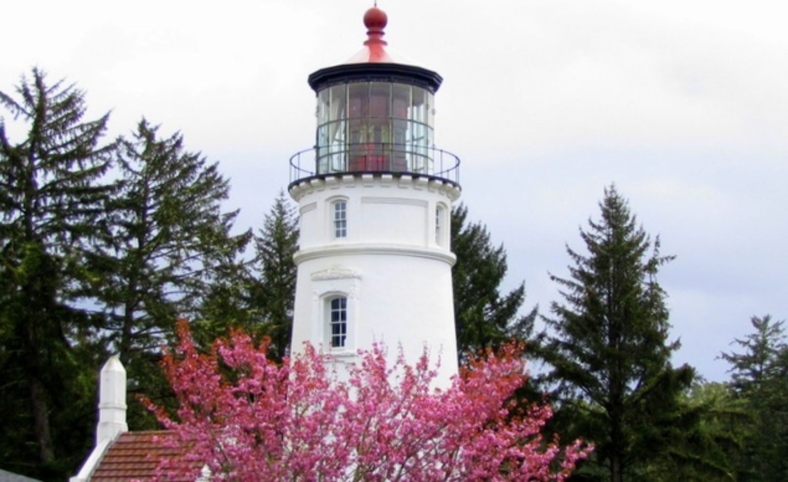 Oregon's Umpqua Lighthouse with cherry blossoms