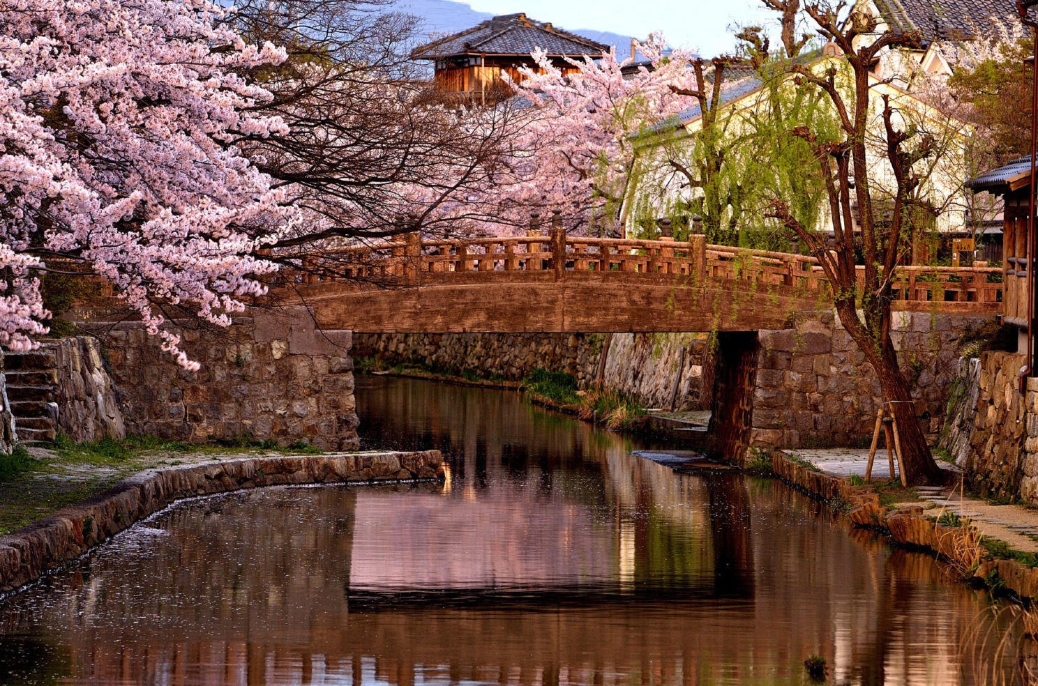 "This photograph of a bridge on the canal in Omihachiman, Japan is a great example of what the magic light can do for a photograph. This is the immediate afterglow of sunset, a beautiful time for cityscapes and landscapes."