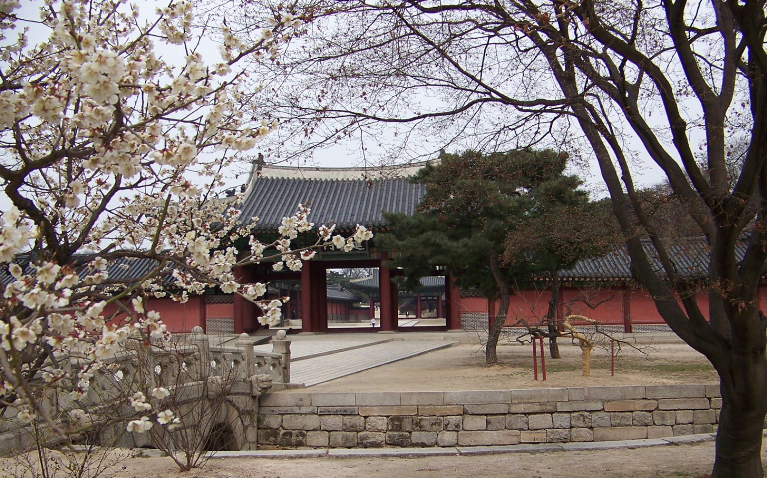 "April is a beautiful time in Korea. Cherry blossoms and a warm breeze make a stroll through the Changdeokgung Palace, one of several traditional palaces in the heart of Seoul."