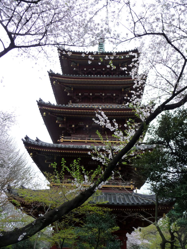 "We paid 6 yen to get into the zoo so that we could see this popular pagoda in Tokyo's Ueno Park. The cherry blossoms have a way of making every picture look better."