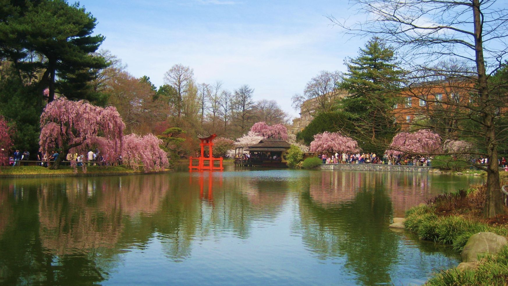 "Spring at the Brooklyn Botanical Gardens, N.Y."