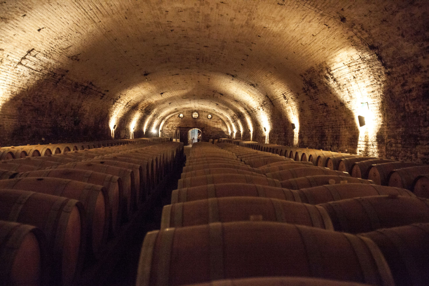 Underground bodega at Cousino Macul
