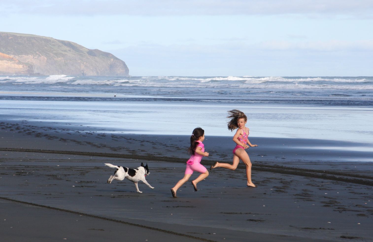 Muriwai Beach New Zealand