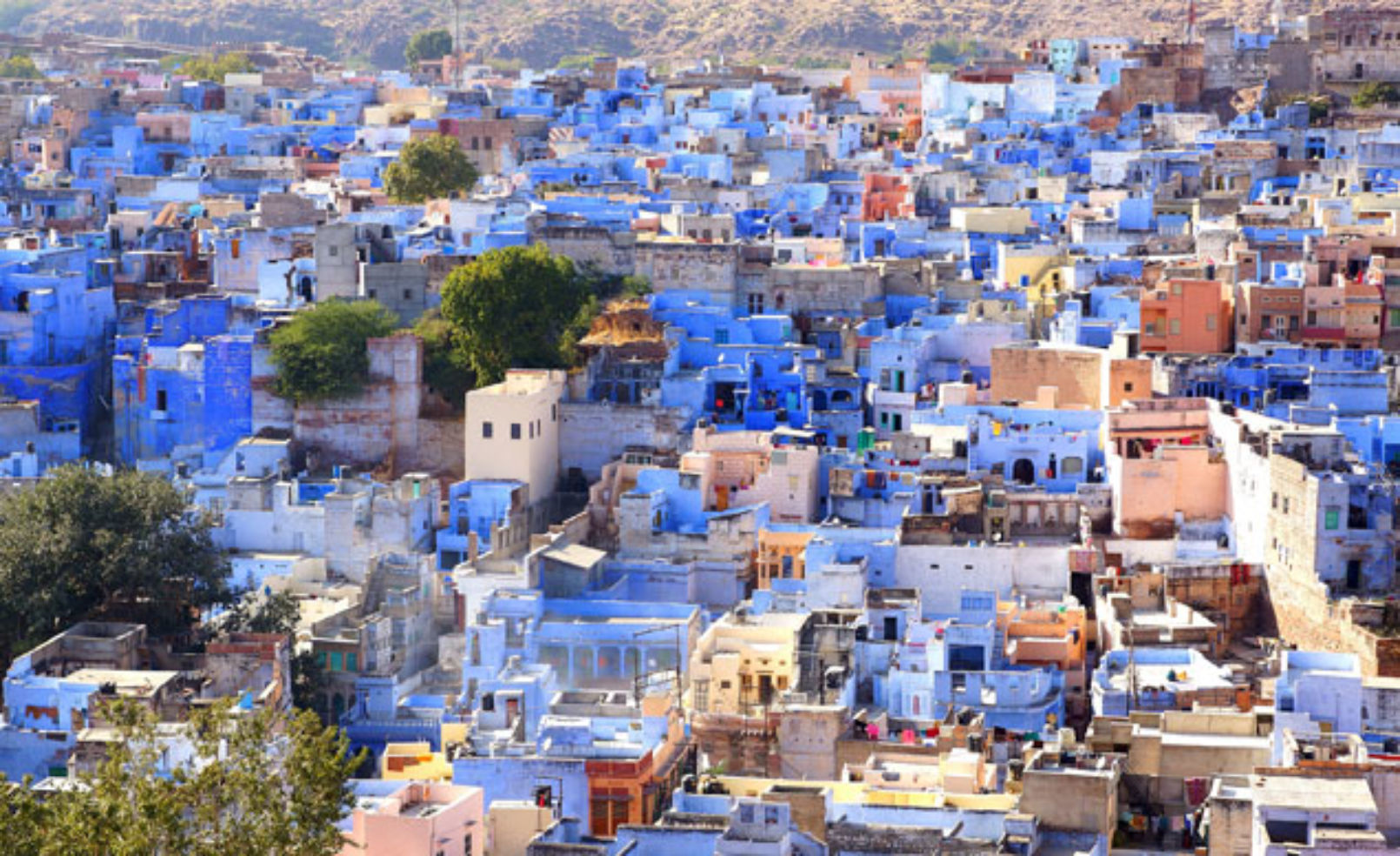 Jodhpur