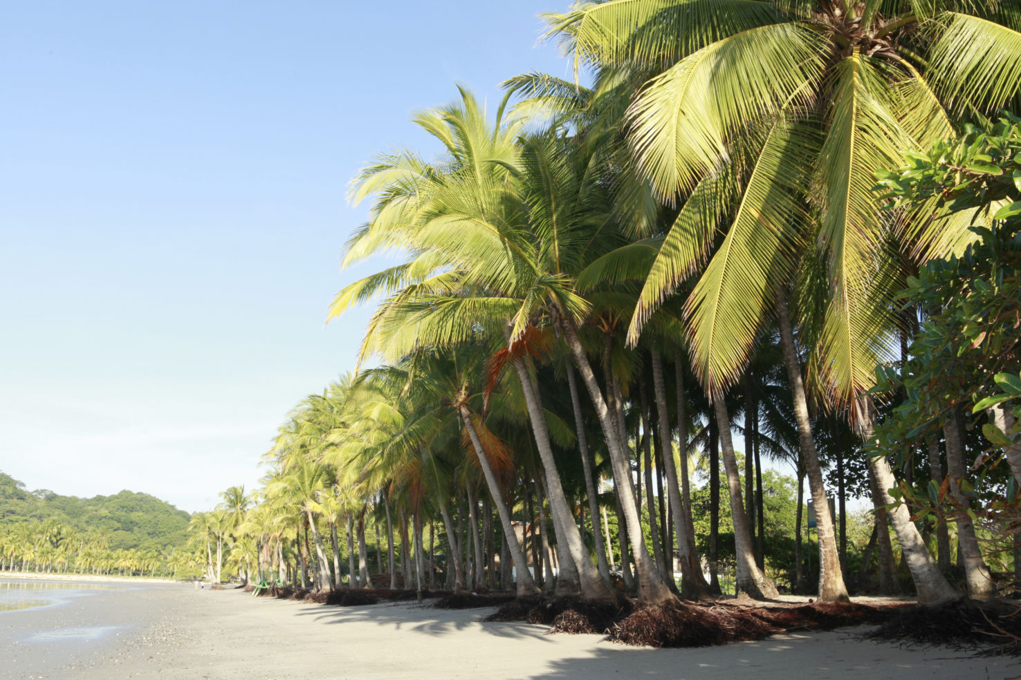 Costa-Rica_Whitney-Tressel_Playa-Samara