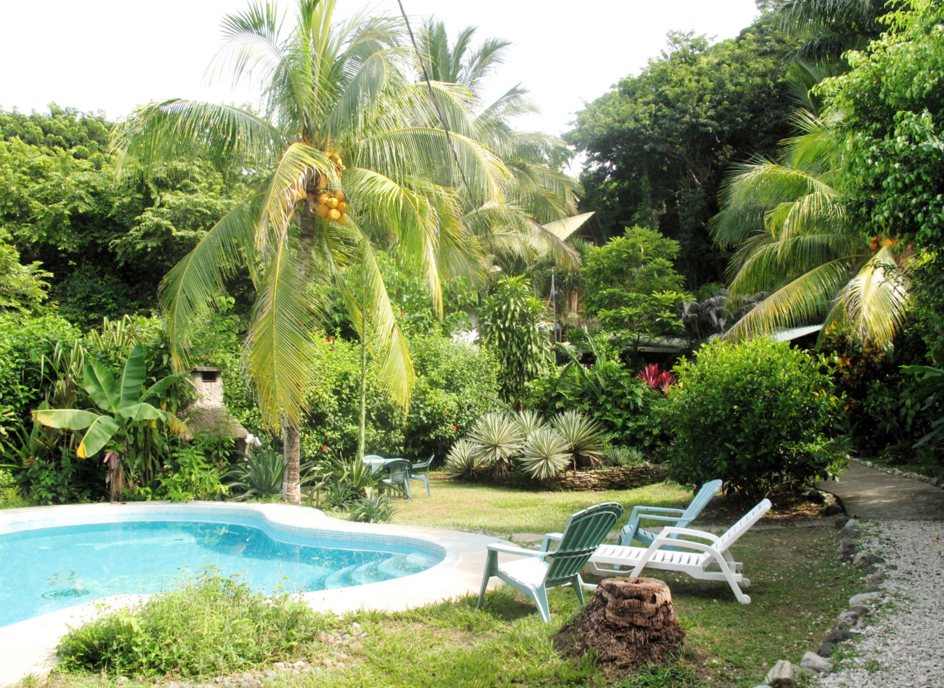Costa-Rica_Whitney-Tressel_treehouse_lodging