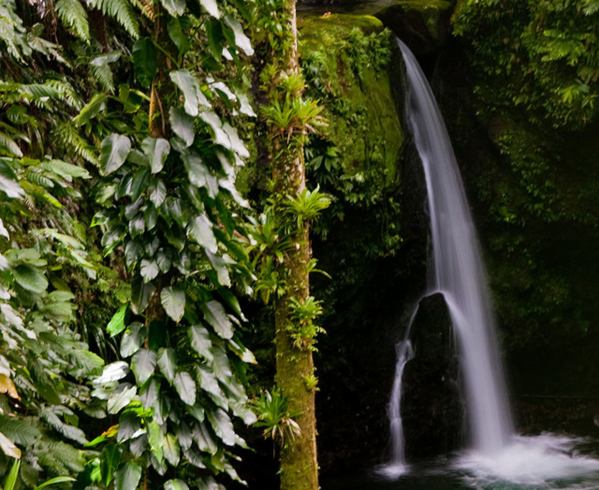 Coye's Waterfalls in Dominica