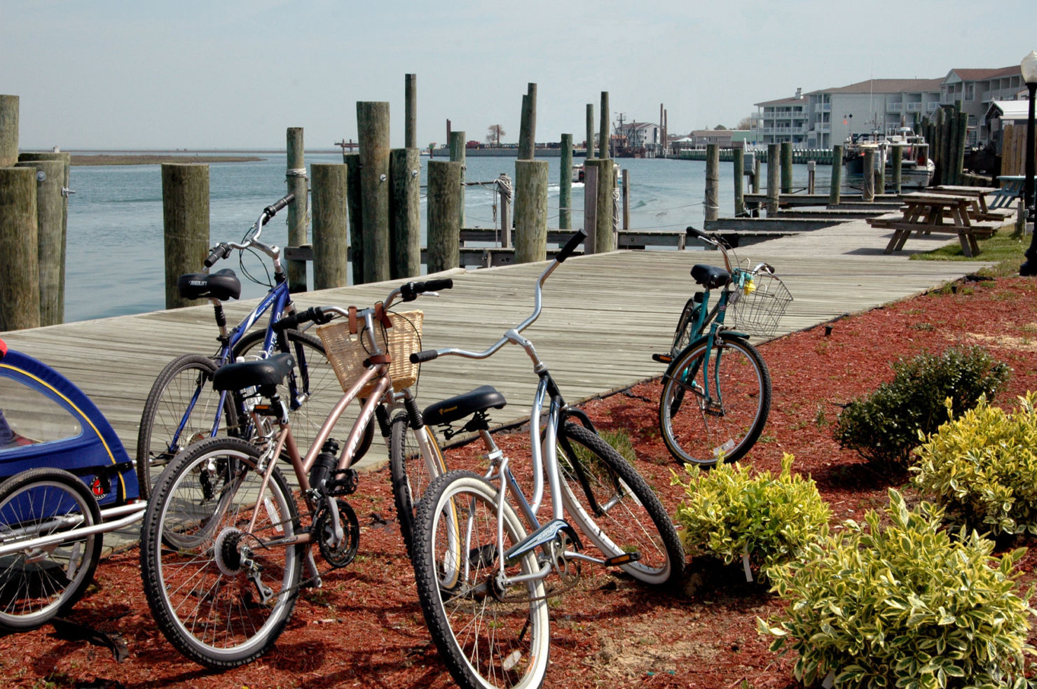 Bike-friendly Town in Chincoteague, VA