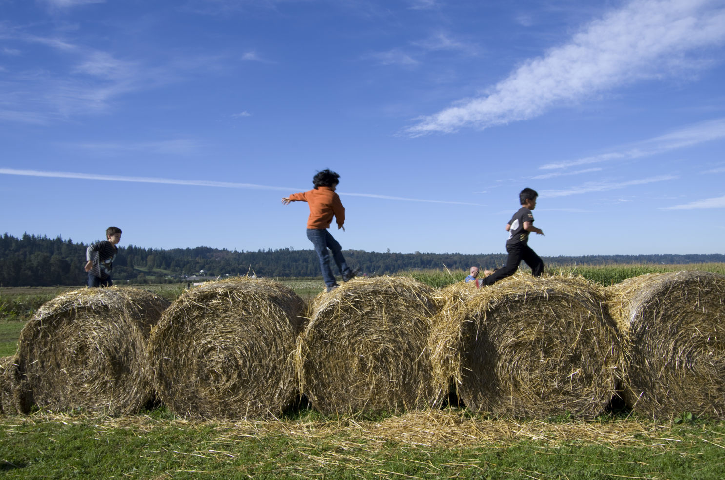 Kids were having fun on weekend at a local pumpkin patch farm in Snohomish near Seattle