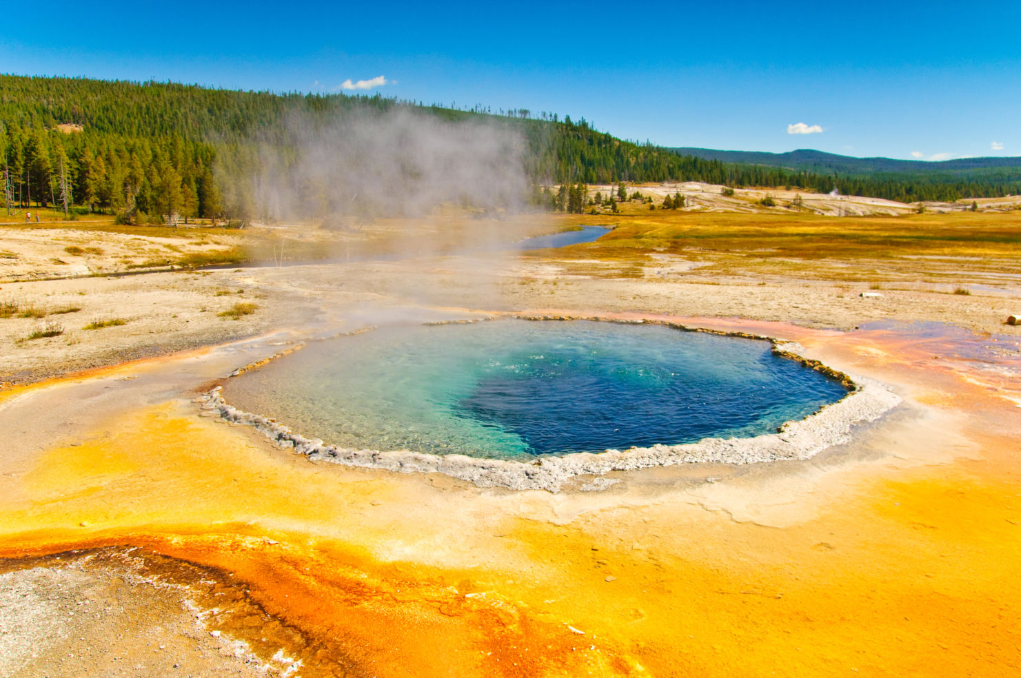 Hot springs, Yellowstone National Park, Wyoming
