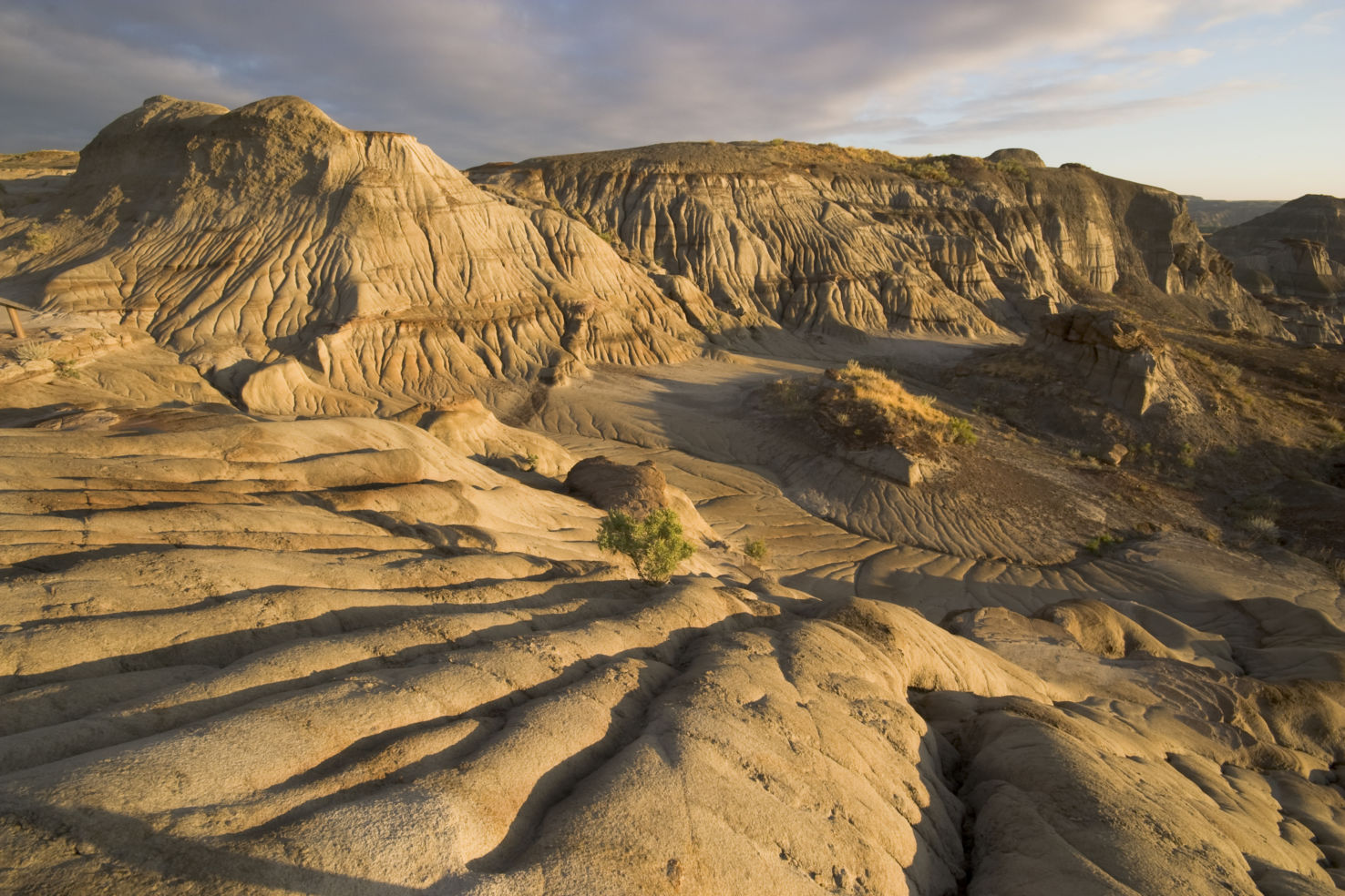 Badlands, erosion rills, Dinosaur Provincial Park, Alberta, Canada