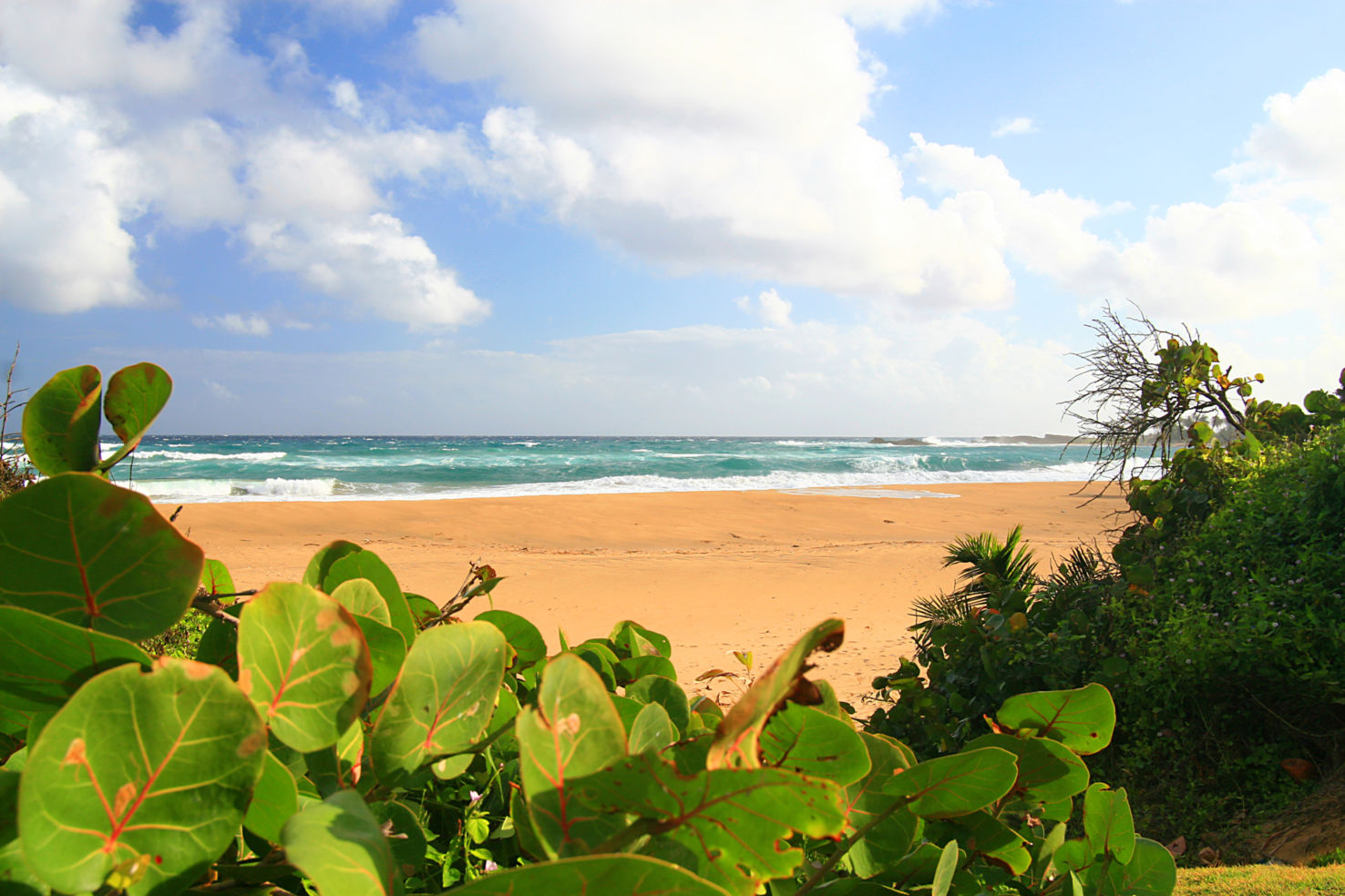 A beautiful scene of a secluded tropical beach in Isabela At the island of Puerto Rico