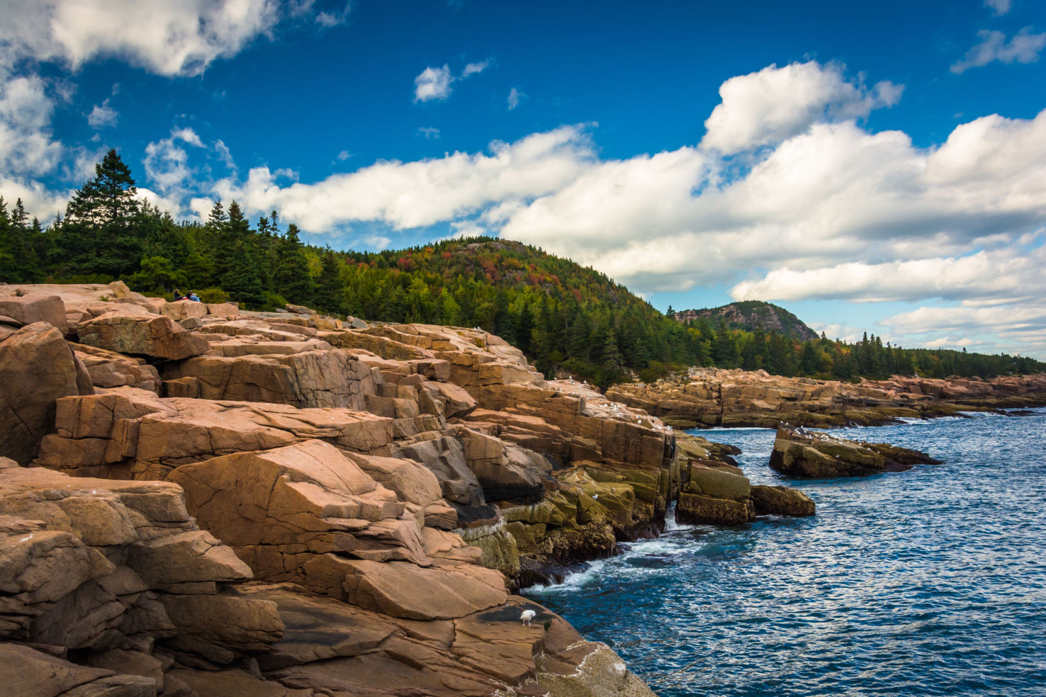 Otter Cliffs, Atlantic Ocean, Acadia National Park, Maine