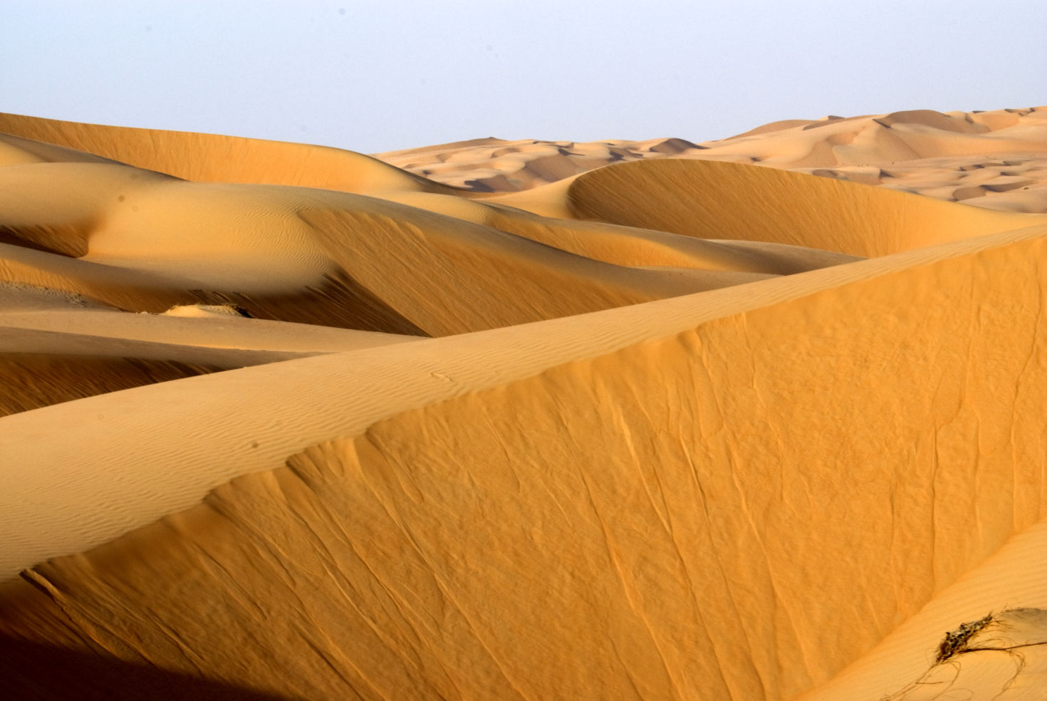 Abu Dhabi desert, the big dune desert in the world