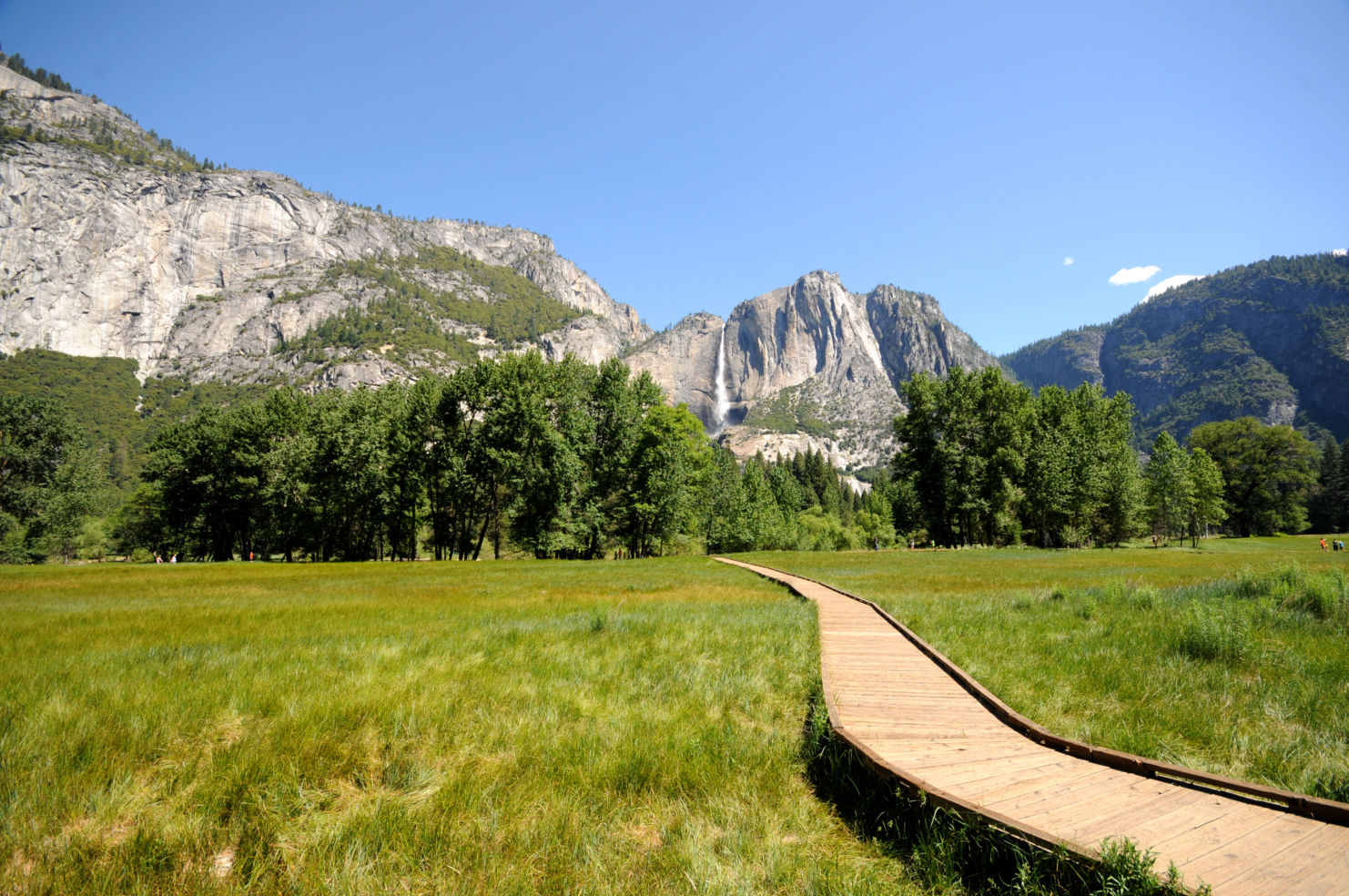 Timber path through the meadow Yosemite National Park