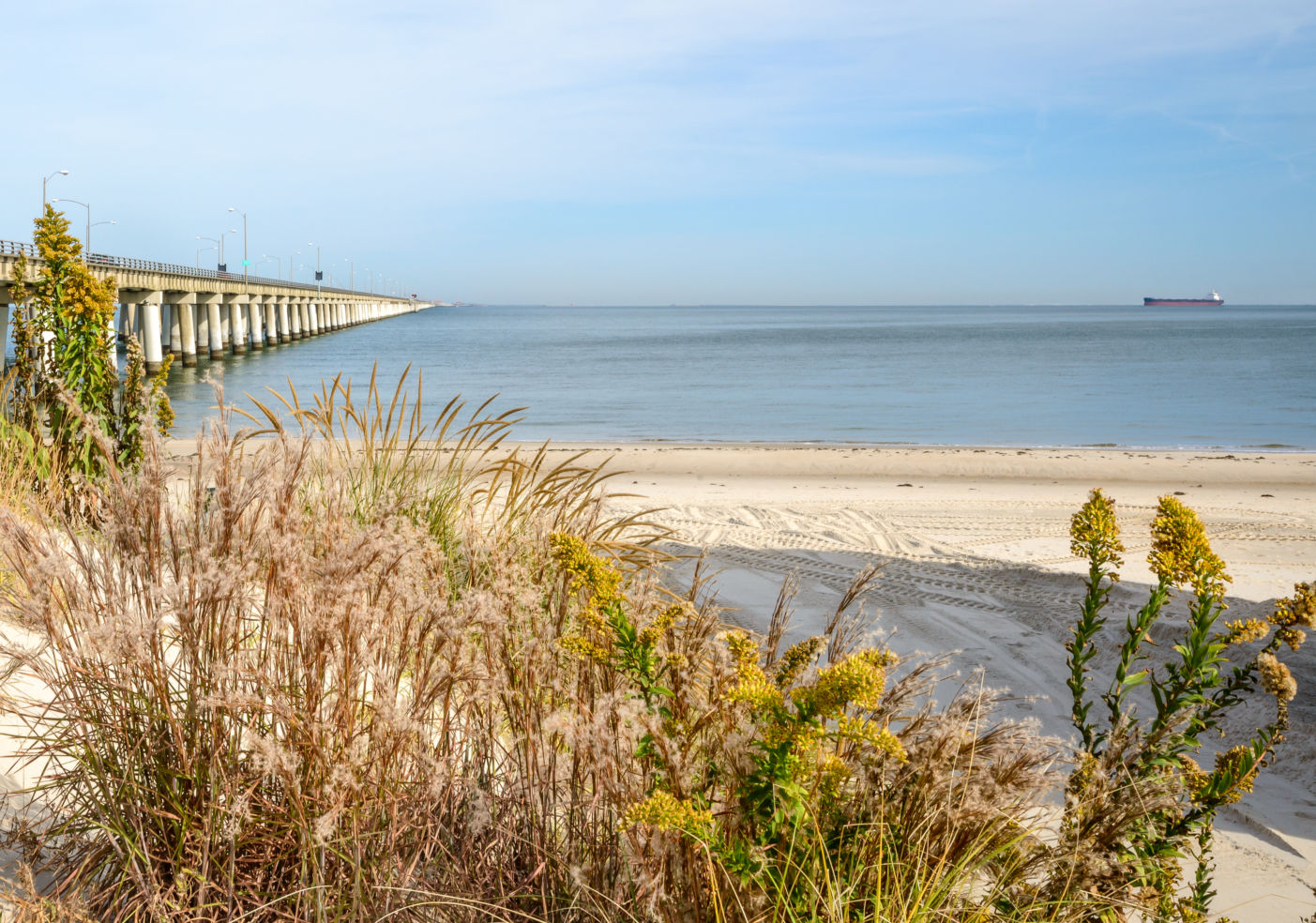 Chesapeake Bay Ridge, Virginia Beach