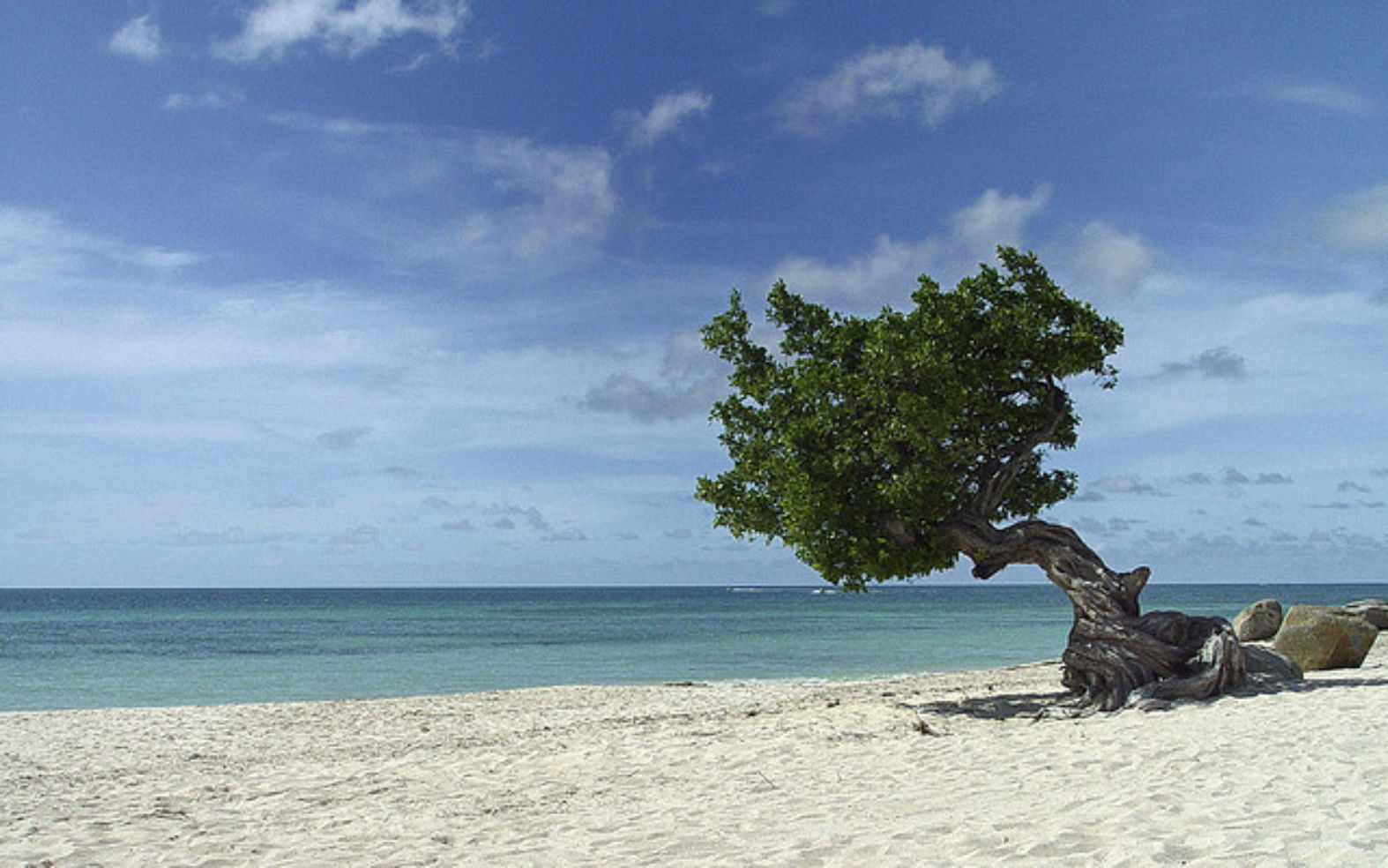 Eagle Beach in Aruba