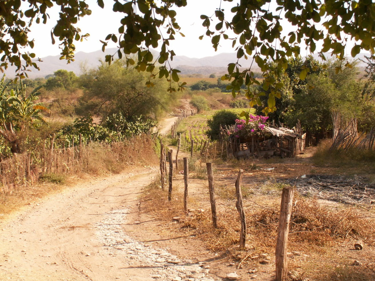 El Quelite, Sinaloa, Mexico