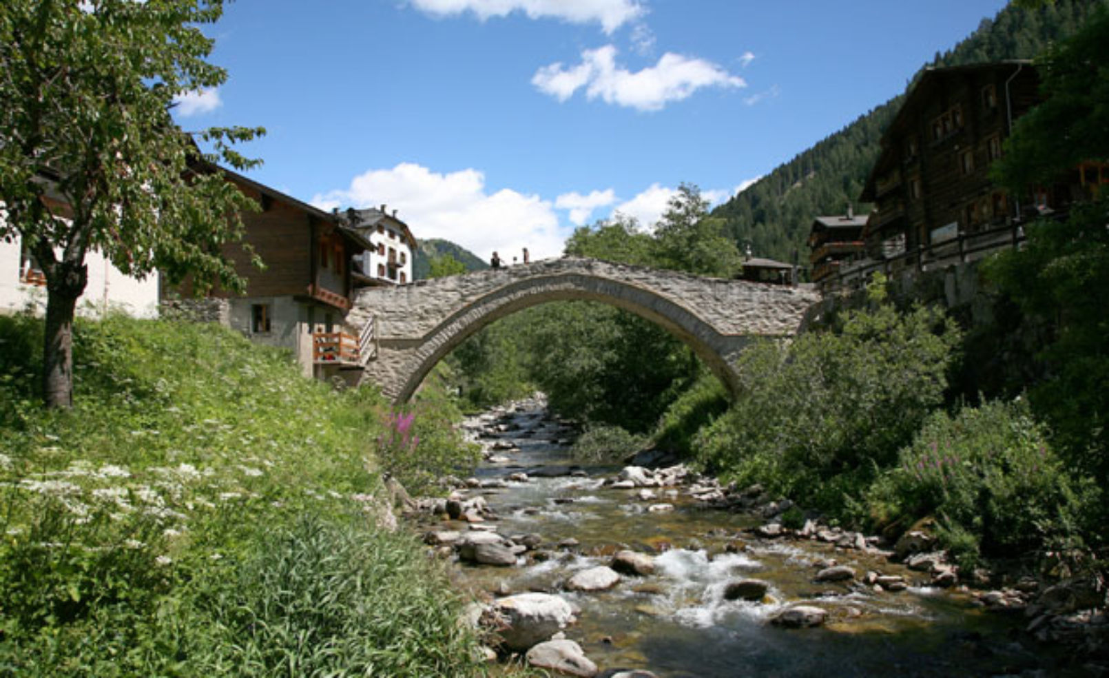 Binn