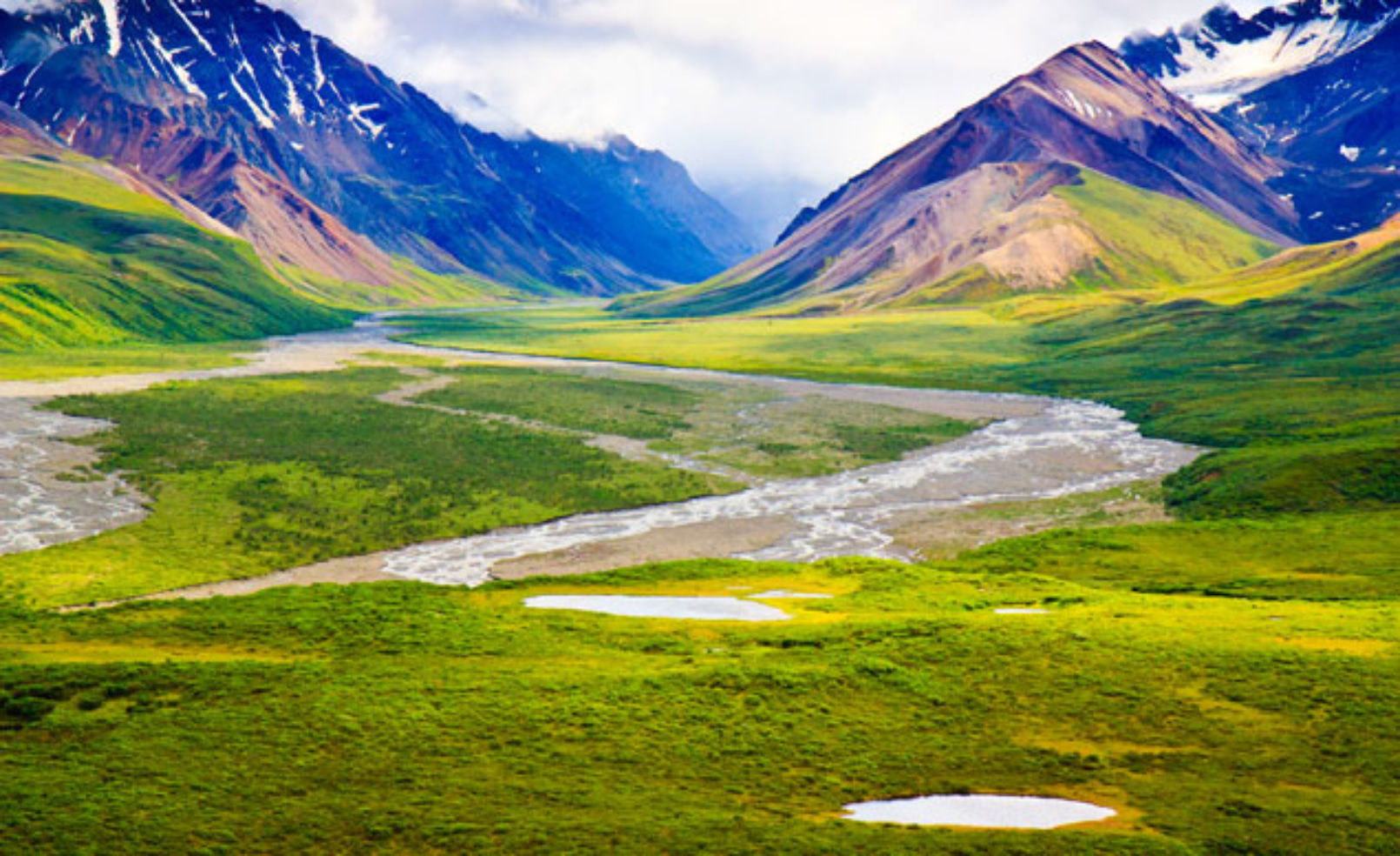 Denali NP