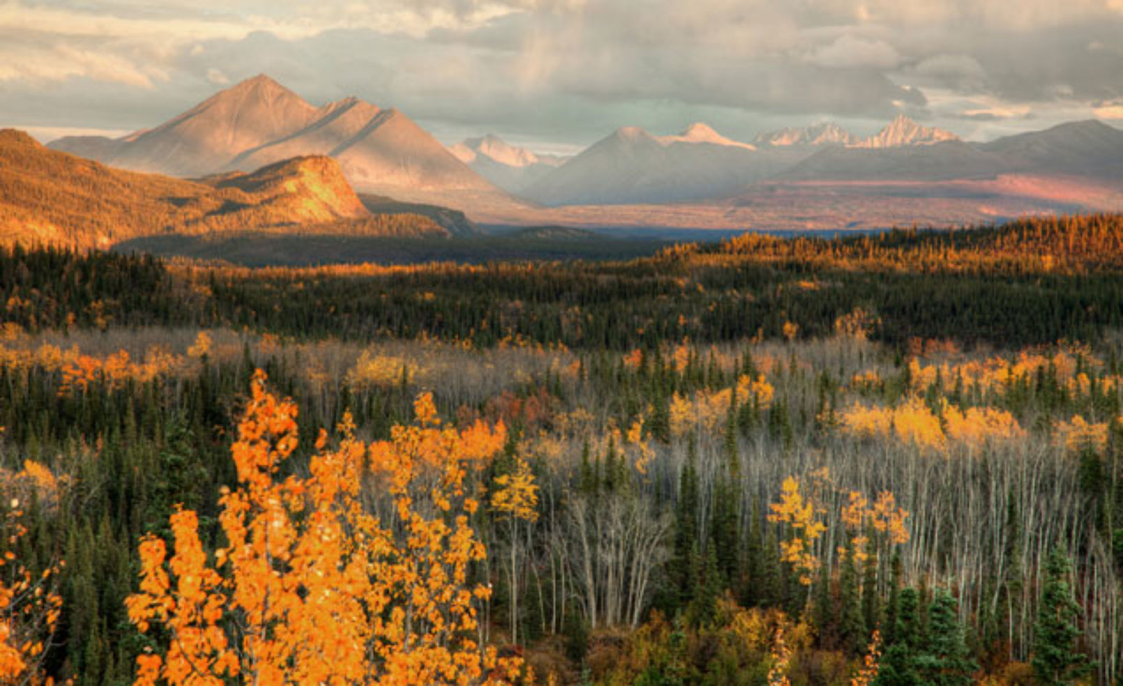 Denali National Park in Alaska in autumn