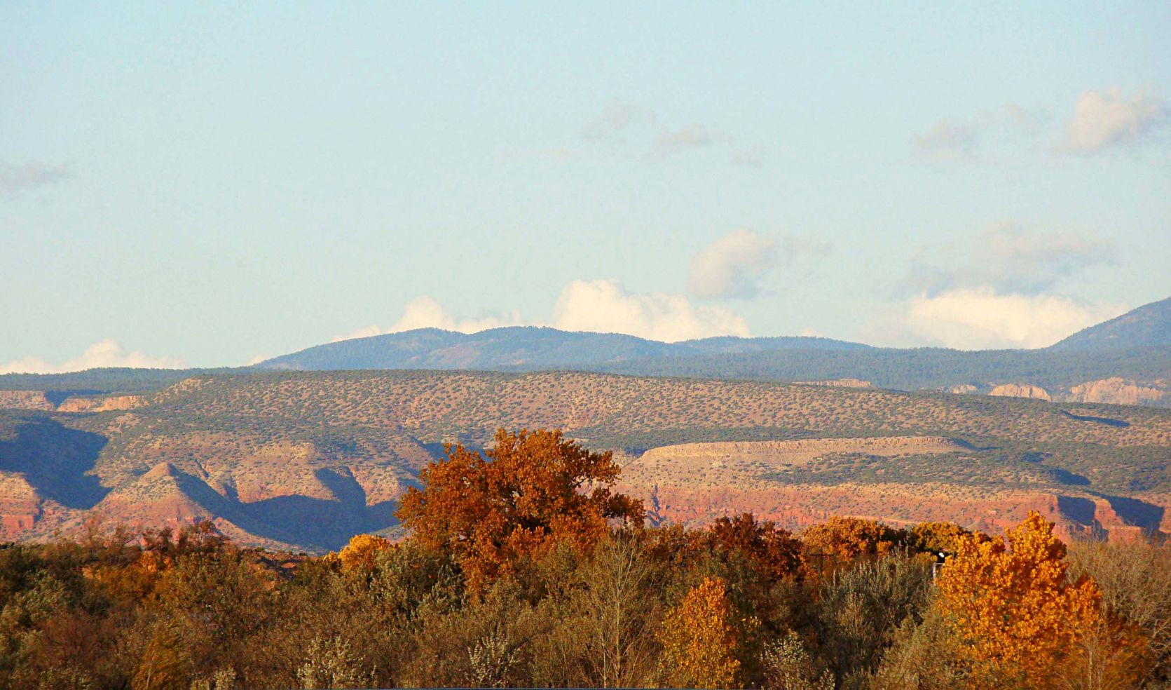 Fall colors in New Mexico