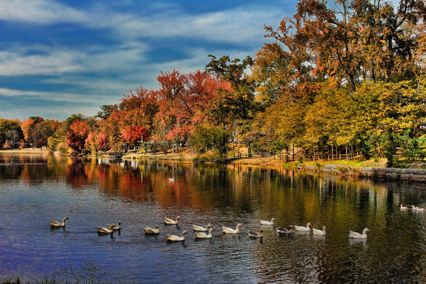 Haddon Lake, Audubon, New Jersey.