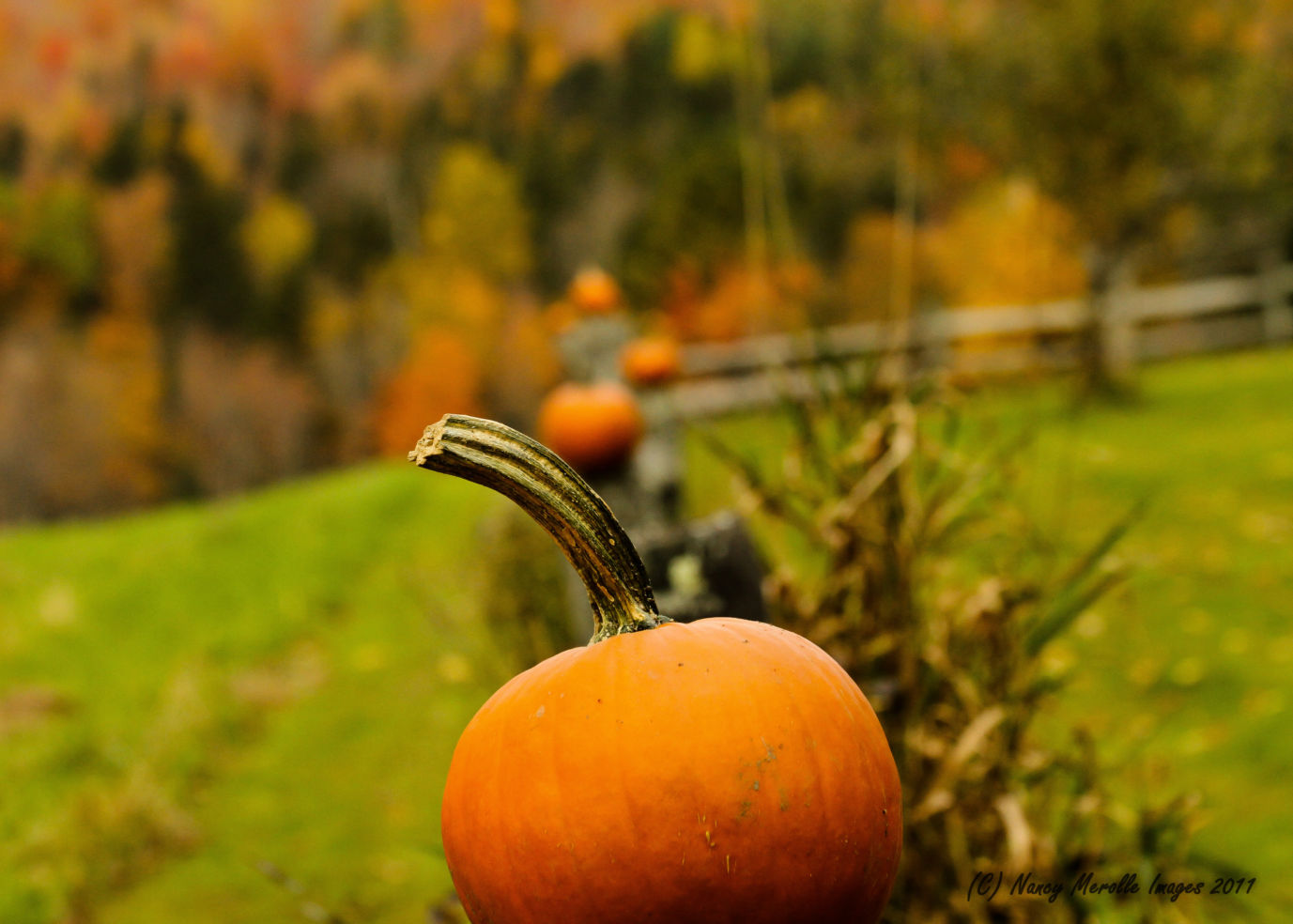 Vermont in the fall