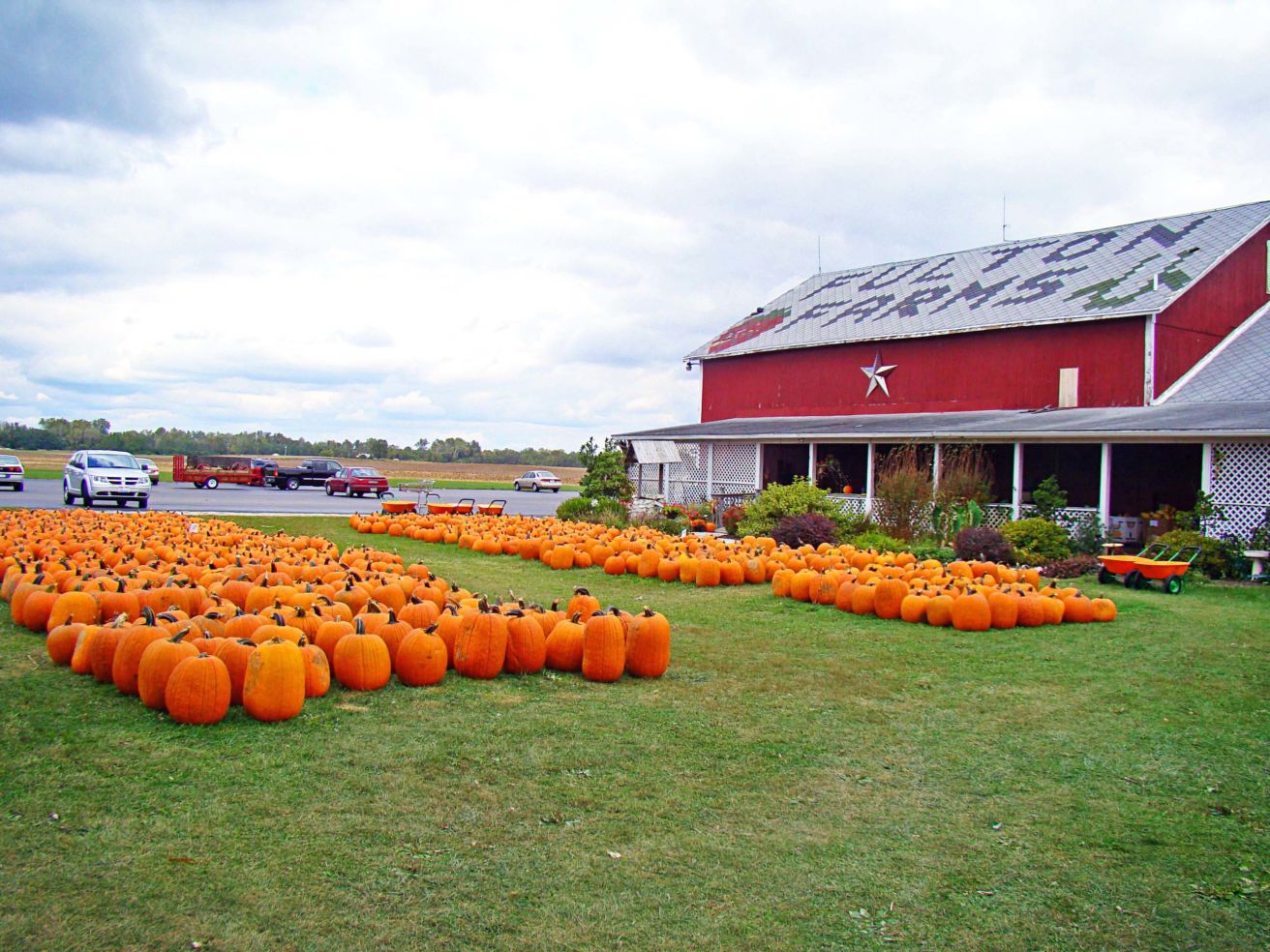 Pumpkins in Ohio