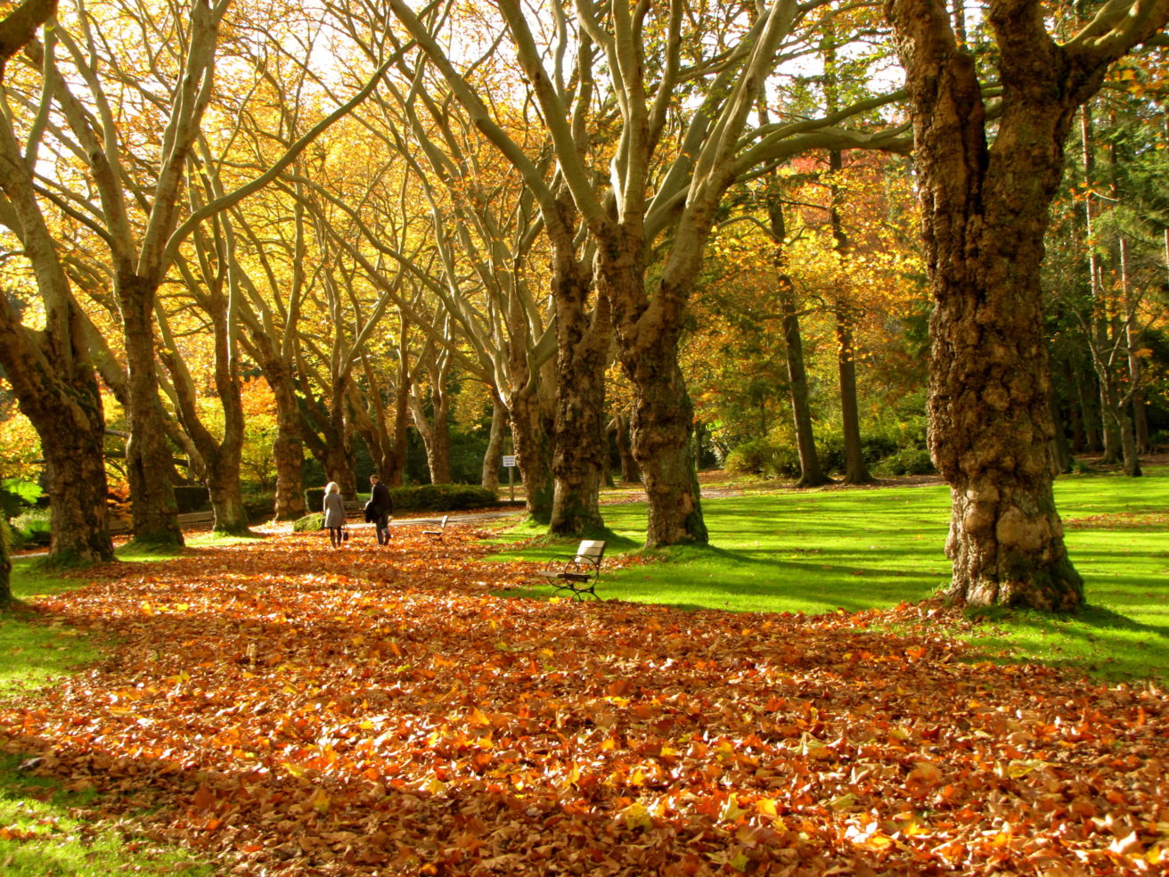 Stanley Park, Vancouver.