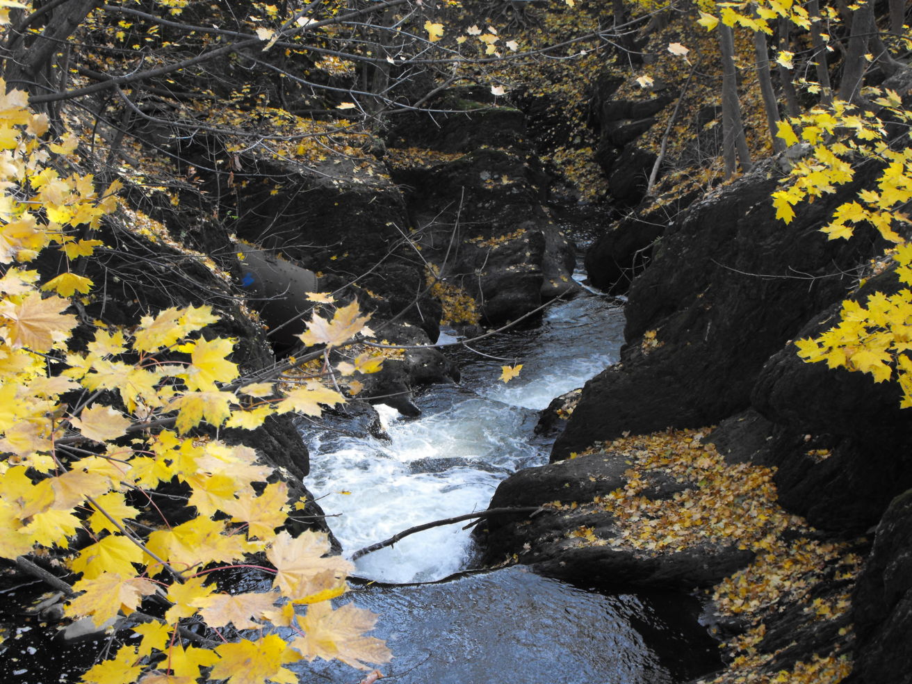 Waterfall in Marlboro, NY.