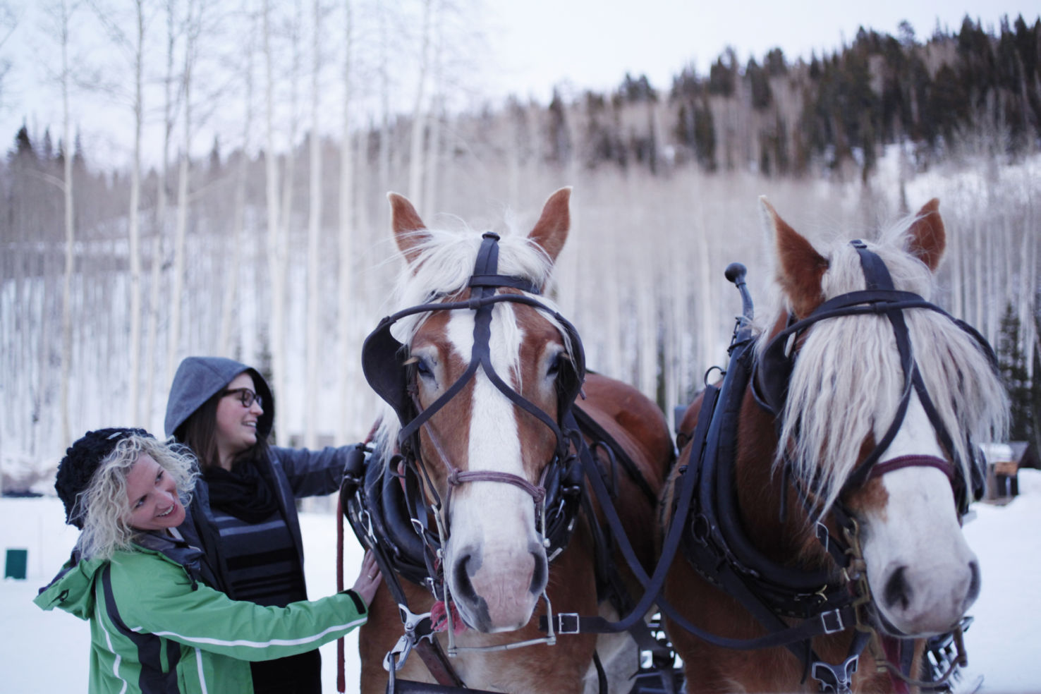 FamilySkiing_Utah_Deer-Valley_horses