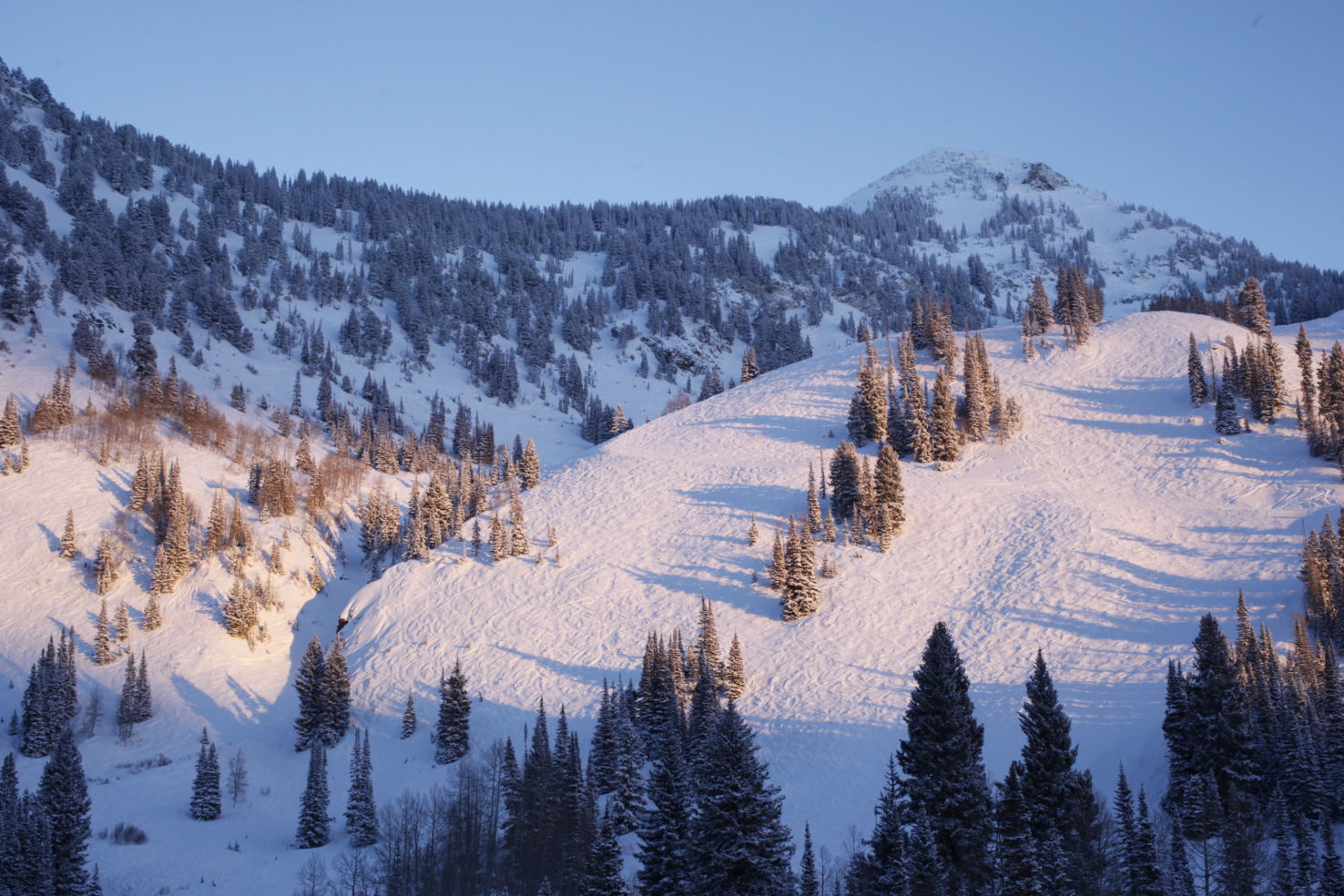 FamilySkiing_Utah_Snowbird_view
