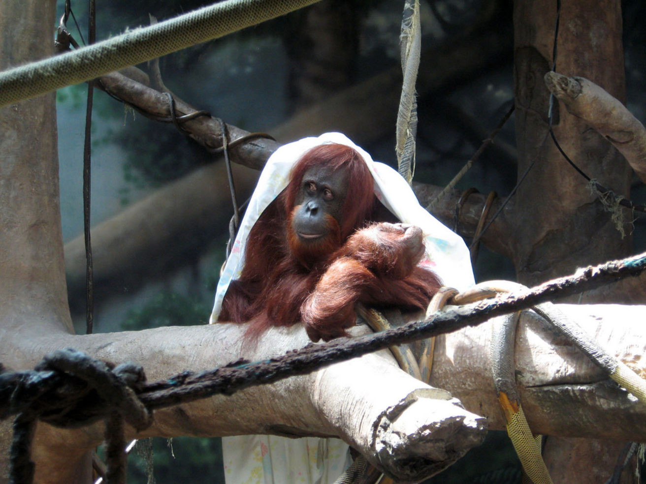 Fort Wayne Children's Zoo