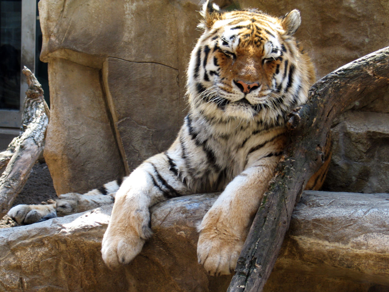 Henry Doorly Zoo Cat Complex