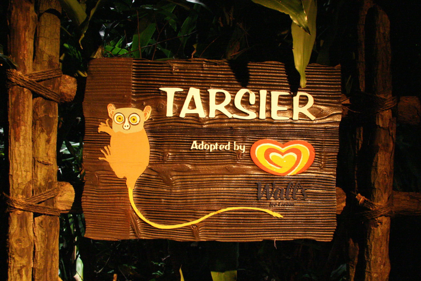 Tarsier Sign - Night Safari, Singapore