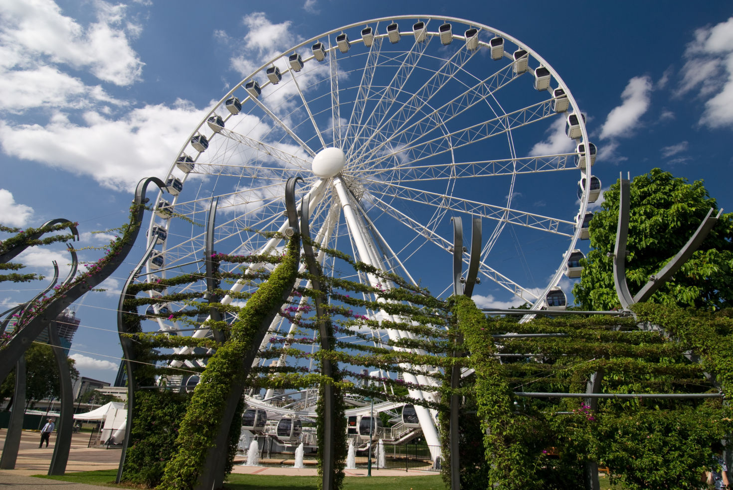 Brisbane wheel