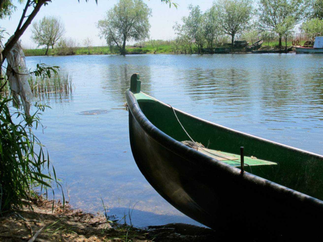 A boat in the Danube River Delta in Romania