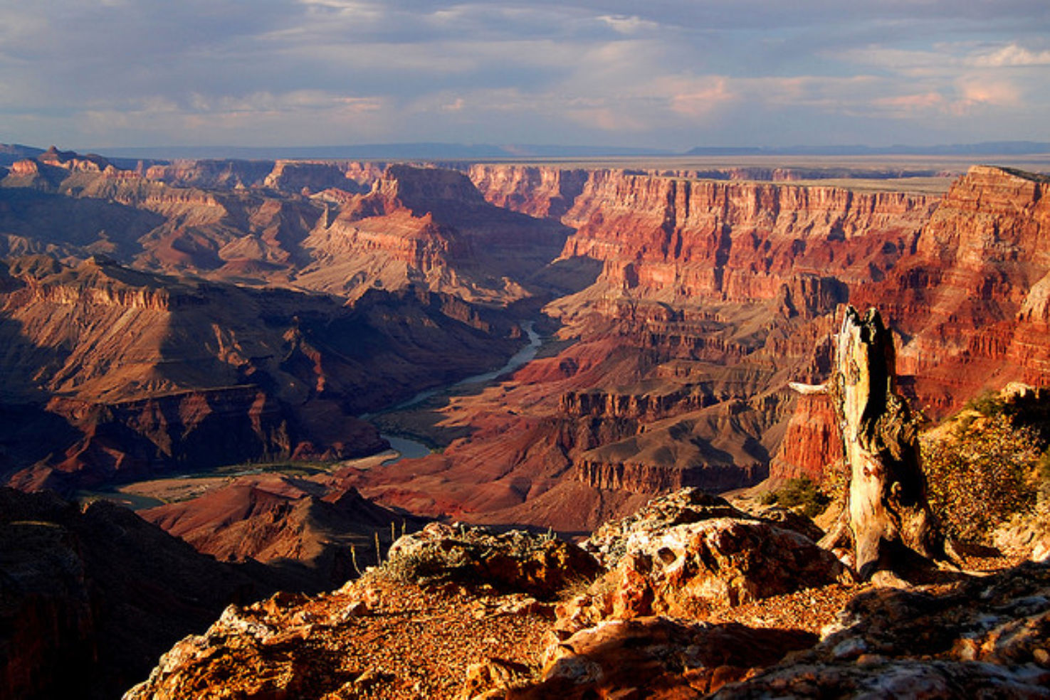 A beautiful view of the Grand Canyon