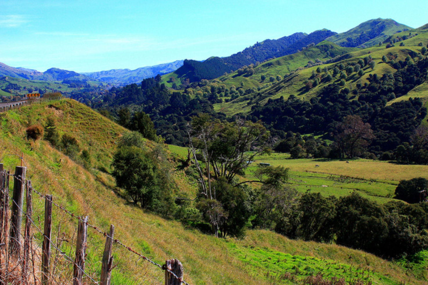 North Island, New Zealand