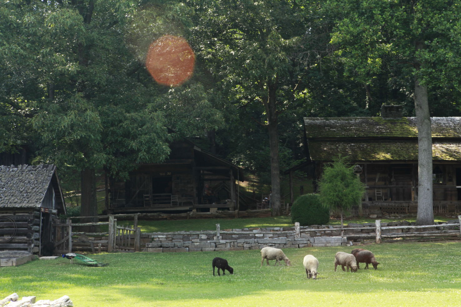 Folk-Art_Museum-Appalachia_sheep