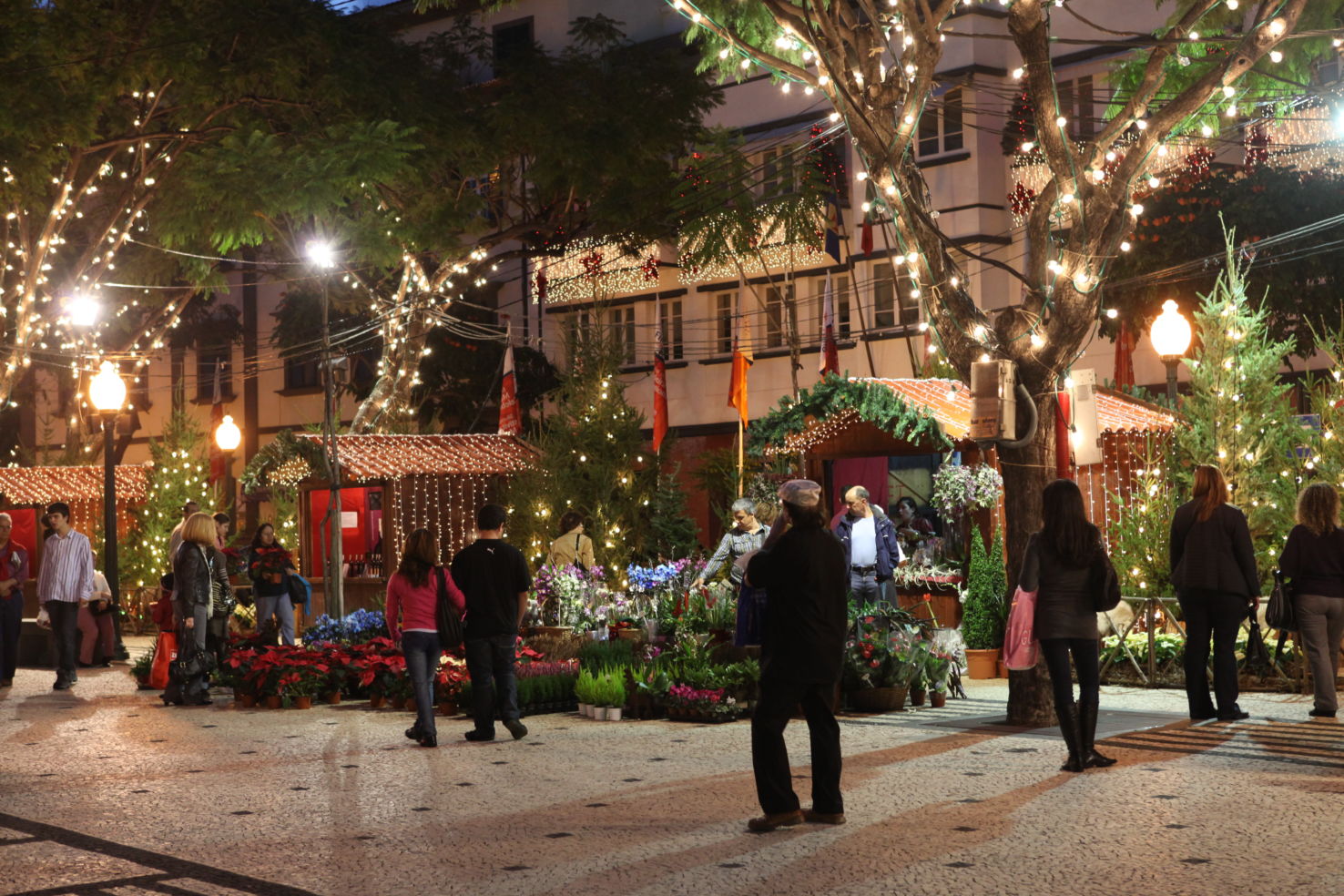 Funchal Christmas