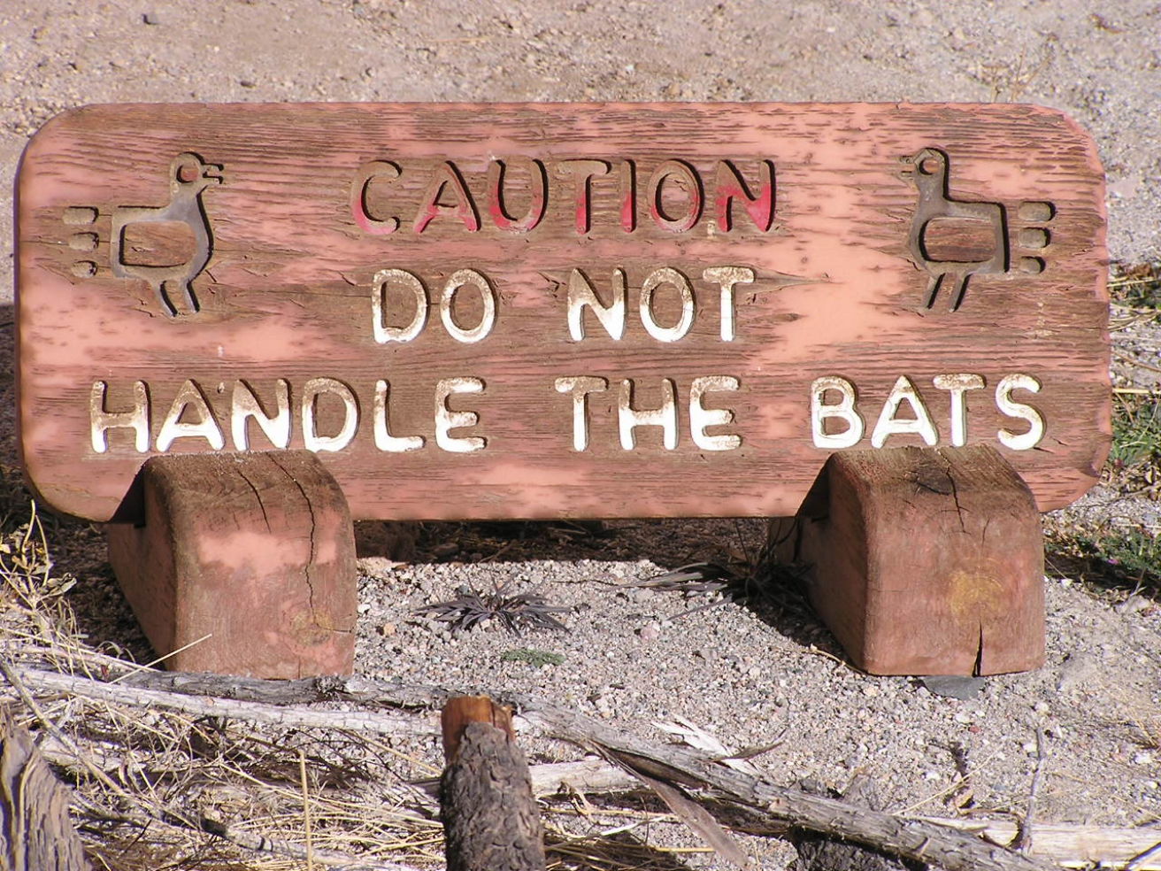 Do not handle the bats