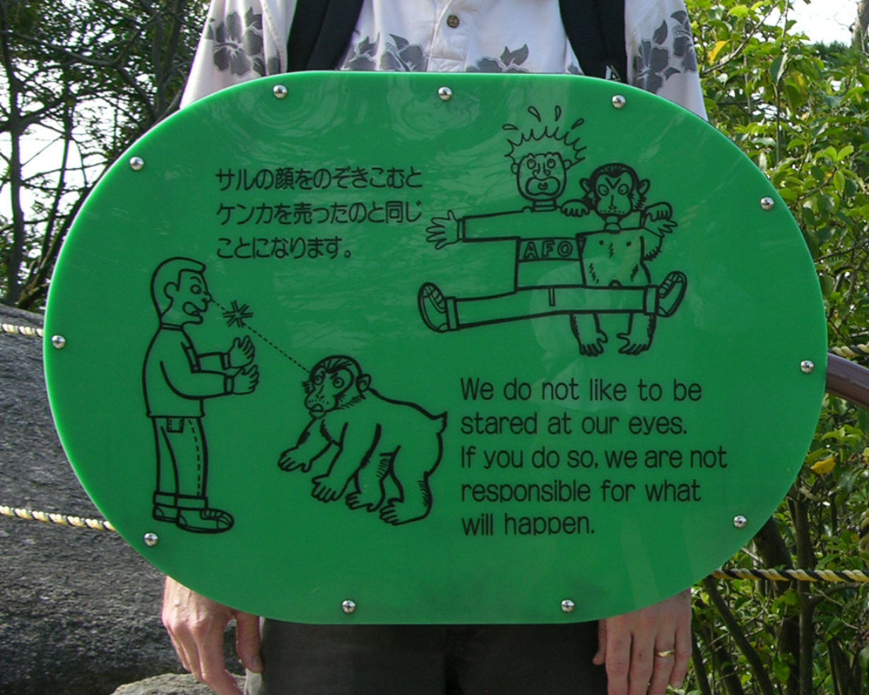Beware of monkeys