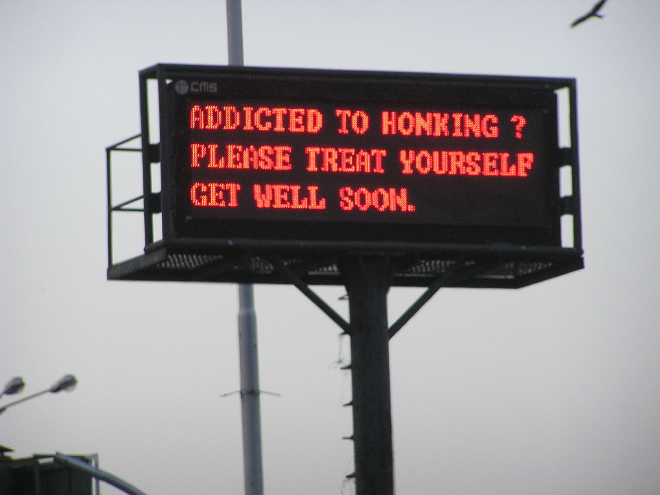 Honking problems