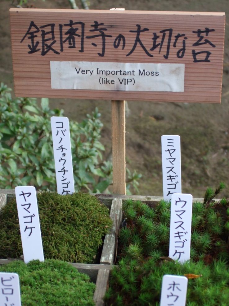 VIP moss sign